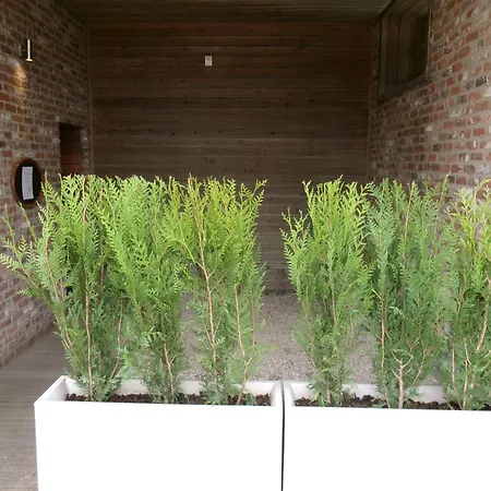 Couette-café Kraaiberg 3*